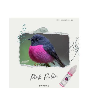 Pavone Permanent Makeup Hybrid Lip Pigment - Hybrid Lip Paint -