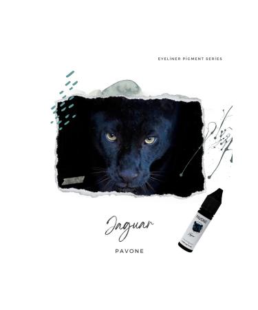 Pavone Eyeliner Pigment - Permanent Makeup Hybrid Eyeliner Paint