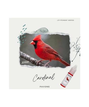 Pavone Hybrid Lip Color - Permanent Makeup Lip Pigment - Buy Online on GoSupps.com