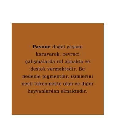 Pavone Hair Simulation Dye - Scalp Pigment - Hair Simulation Pigment - Buy Online on GoSupps.com