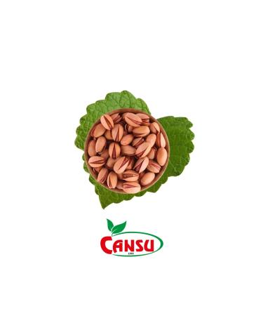 CANSU Nuts & Lokman Hekim Cansu Siirt Pistachio 500 gr