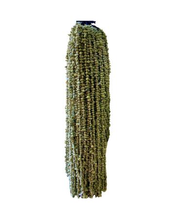 a layan Aktar Local Products Dry Okra 200 (GR)