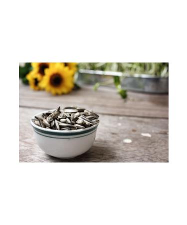 SERTTA NUTS Black Unsalted