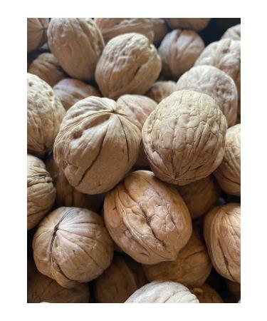 kydonies gourmet Shelled Walnuts (chandler) New Harvest 1 Kg