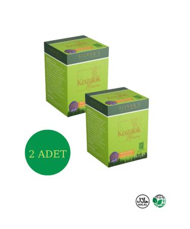 Silver's Naturals Honey Pine Cone Paste-240 Gr X 2 Pieces