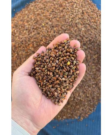 Beyisa 500 gr Natural Mustard and Black Grapes Mustard Grape Seeds Mardin Midyat Local Delicacies - Buy Online on GoSupps.com