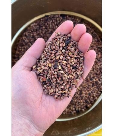 Beyisa 500 gr Natural Mustard and Black Grapes Mustard Grape Seeds Mardin Midyat Local Delicacies - Buy Online on GoSupps.com