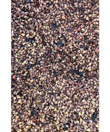 Beyisa 500 gr Natural Mustard and Black Grapes Mustard Grape Seeds Mardin Midyat Local Delicacies - Buy Online on GoSupps.com