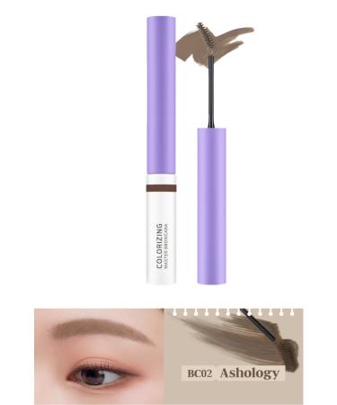Black Rouge Coloring and Straightening Eyebrow Mascara Colorizing Master Browcara Ashology