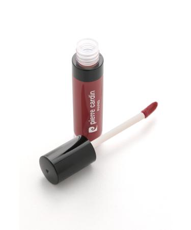 Pierre Cardin Staylong Lipcolor-kissproof Long-lasting Lipgloss-terracotta Rose 5 Ml 341 - Buy Online on GoSupps.com