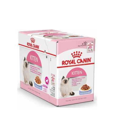 Royal Canin Jelly Kitten Canned Food for Young Cats 12 X 85 G