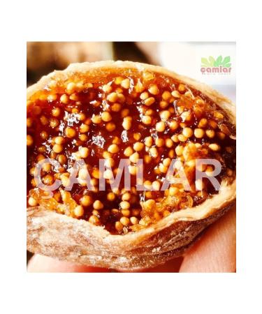 Pine Fig 2000 gr Lerida Dizim - Buy Online on GoSupps.com