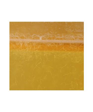 Vinegar Worm Culture Fish Food