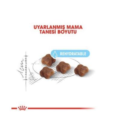 Royal Canin Savour Exigent Selective Cat Food 400 gr - Buy Online on GoSupps.com