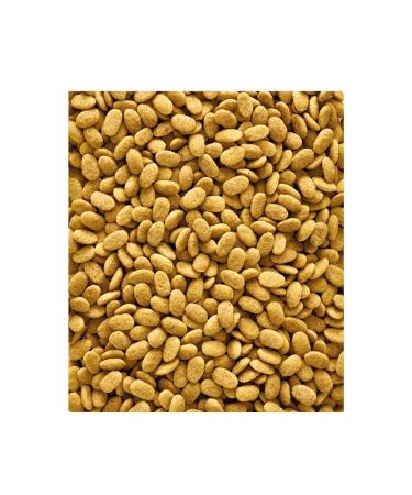 Versele Laga Nutribird P15 Pellet Original Parrot Food 10 Kg - Buy Online on GoSupps.com
