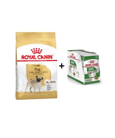 Royal Canin Pug Breed Special Dog Food 1.5 Kg + 12 Pieces Wet Food