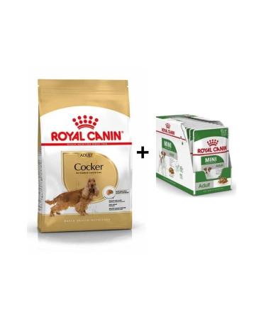 Royal Canin Cavalier King Charles Adult Dog Food 3 kg 12 Pieces Wet Food