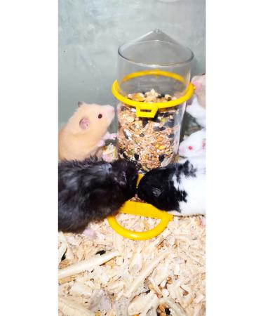 MD ZM R Luxury Food Mix for Hamsters (ORGANIC) Special Food for Hamsters - Buy Online on GoSupps.com