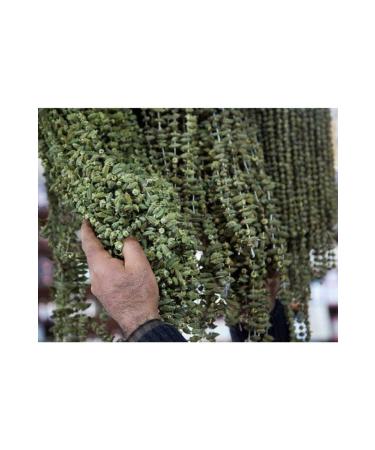 YILMAZ MEDICINAL HERBS AND SPICE PRODUCT Dried Okra 100 Grams