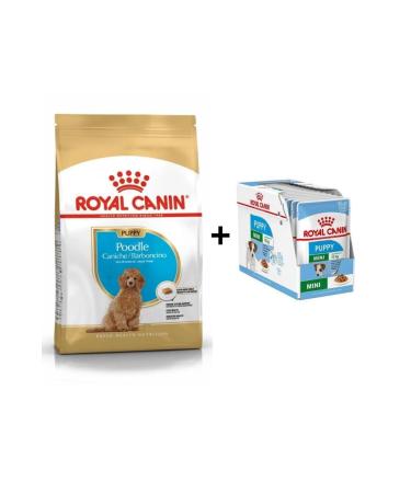 Royal Canin Poodle Puppy Dog Food 3 Kg + 12 Pieces Wet Food