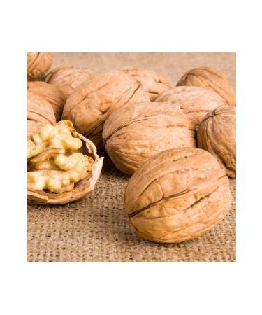 Organic Shelled Walnuts 1 Kg