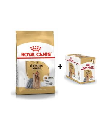 Royal Canin Yorkshire Terrier Dog Food 1.5 Kg + 12 Pieces Wet Food