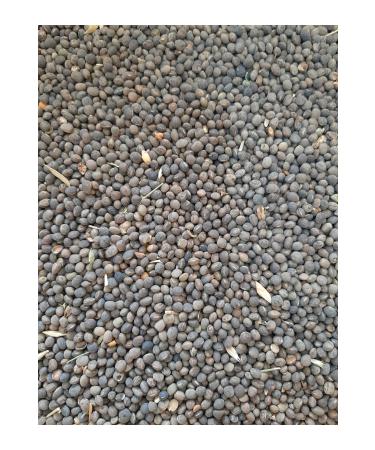 M&H Vetch Pigeon Food (3 Kg)