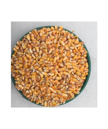 Yemci Corn Feed 3 Kg