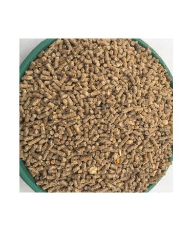 CP Chicken Poultry Egg Feed Granule 5 Kg - Buy Online on GoSupps.com