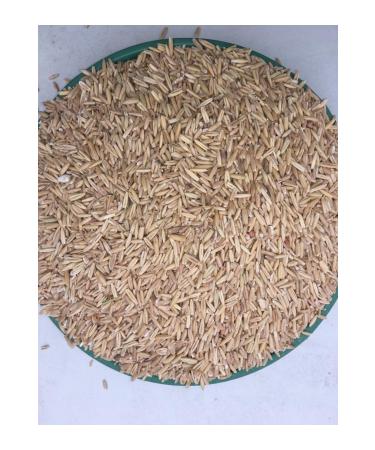 Canary Bird Food Peeled Oatmeal 10 Kg