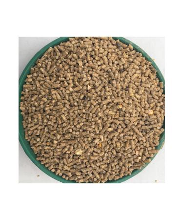 CP Chicken Poultry Egg Feed Granule 5 Kg