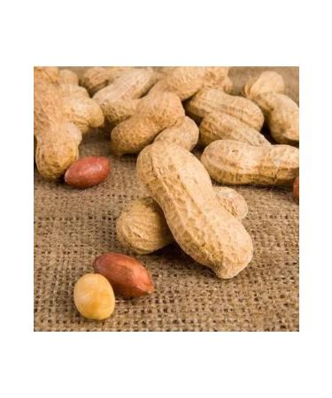 SNACKS Unsalted Roasted Peanut in Shell 500gr