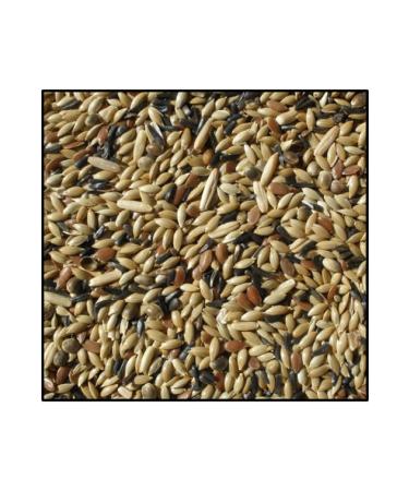 katzoo Canary Food Mixed (3kg Light)