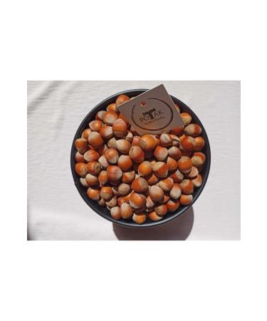 Potak Nuts 3 Kg Shelled Hazelnuts