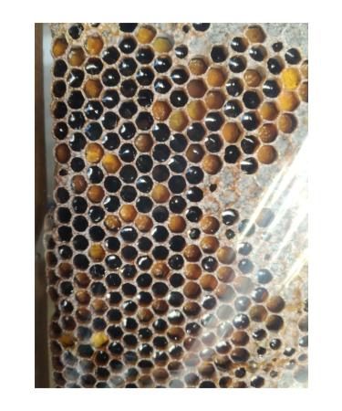 OZMU HONEY Raw Pollen from Sivas 1kg