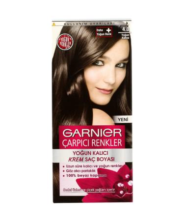 Garnier Striking Colors No 4.0 Intense Brown