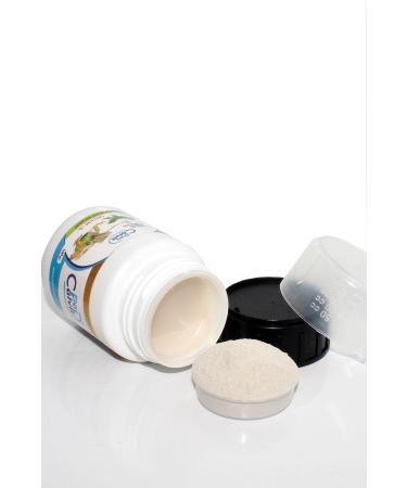 Petcalvit D3 Calcium Powder - For Reptiles Iguana Gecko Dragon Chameleon 100 g - Buy Online on GoSupps.com