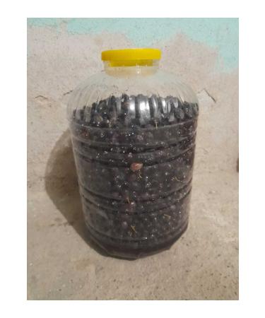 m k leli mehmet 440/460 14 kg pet jar organic black olives