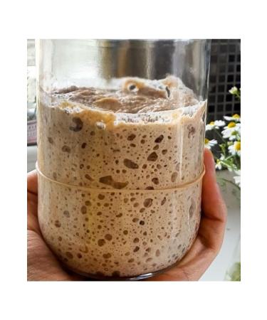 Trabzonvakf kebirunlumamuller Sourdough 100gr (15 years old)