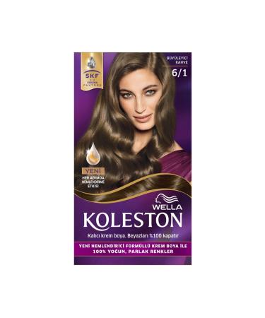 Wella Kit Paint 6/1 - Charming Brown