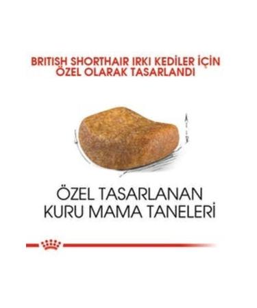 Royal Canin British Shorthair Adult 2 kg - Buy Online on GoSupps.com