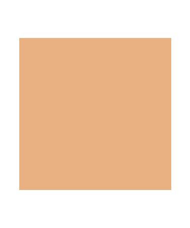 Rimmel London Lasting Finish 25 Hour Foundation Foundation 210 Golden Beige - Buy Online on GoSupps.com