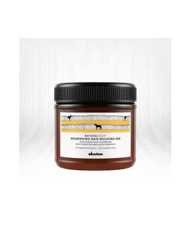 Davines Vegan Nourishing Pak Worn Dry Hair Mask 250 Ml AlyaOnline