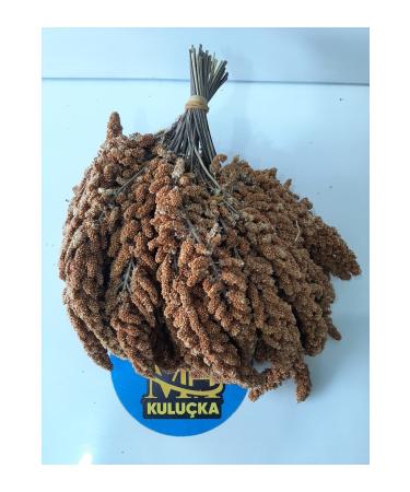 M&H Dal Millet Bird Food (1 Kg)