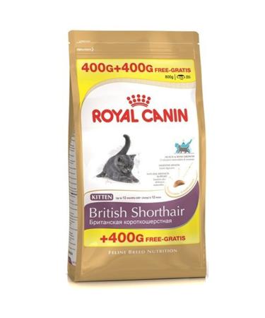 Royal Canin British Shorthair Adult Cat Food 400+400 gr Bonus Package
