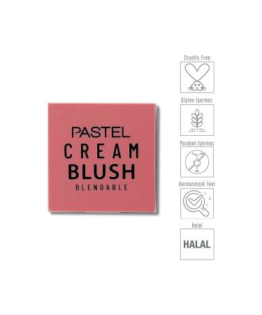 Pastel Profashion Cream Blush 41