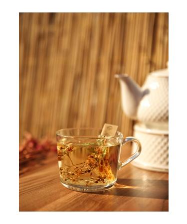 Secret Village Plexiglass Storage Box 36 Organic Tea Linden Thyme Black Pepper Chamomile and Yayla Sage - Buy Online on GoSupps.com