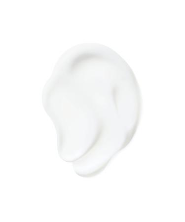 Aveda Nutriplenish Daily Hair Moisturizing Care Travel Size 40ml 018084028520 - Buy Online on GoSupps.com