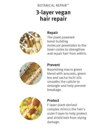 Aveda Botanical Repair Repair Conditioner for Damaged Hair 40ml 18084019528 - Buy Online on GoSupps.com