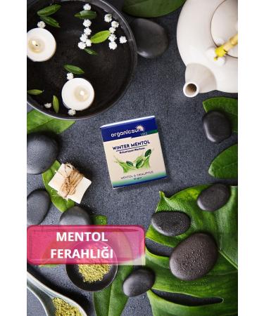 Organicsun Winter Menthol Evaporating Ointment Viks Vicks Vikis Menthol And Eucalyptus 40 Gr - Buy Online on GoSupps.com